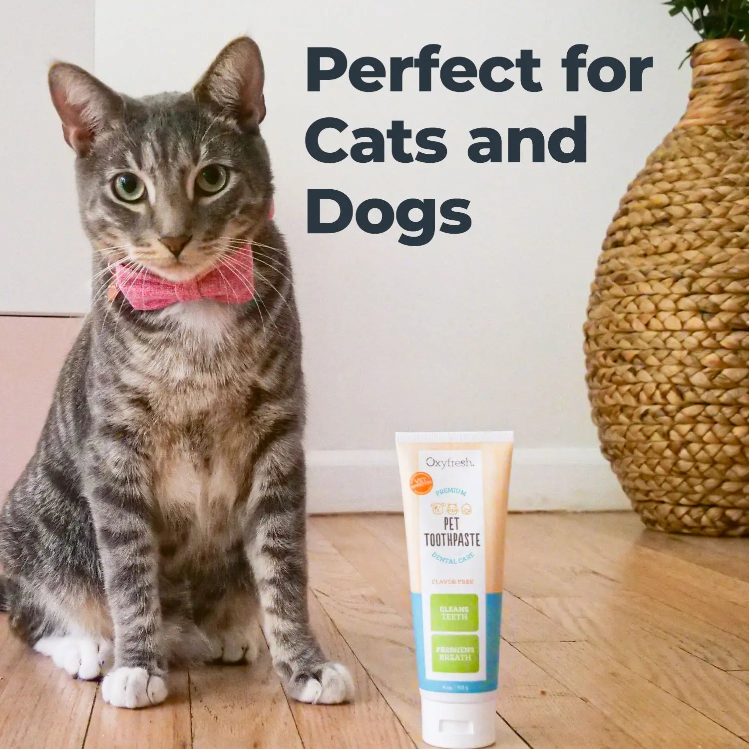 Premium Pet Toothpaste for Effective Dental Care and Plaque Removal