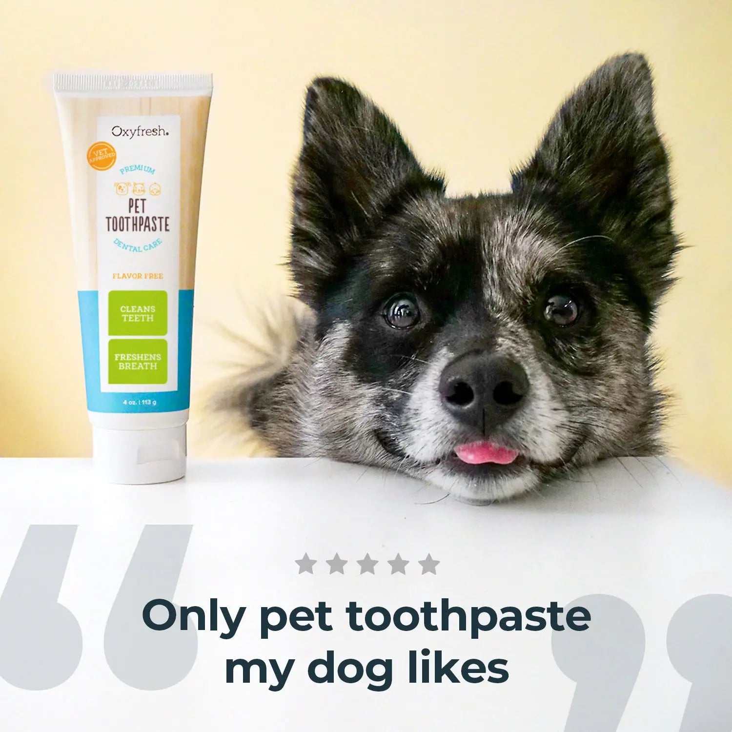 Premium Pet Toothpaste for Effective Dental Care and Plaque Removal