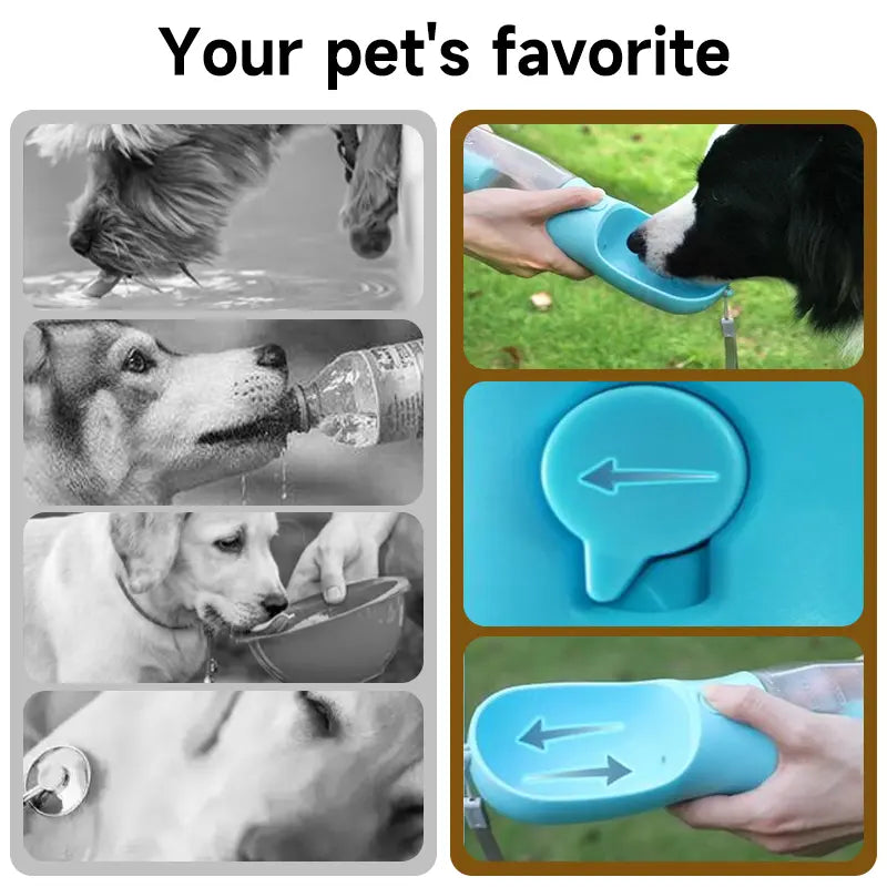 Portable Water Bottle for Dogs - 3-in-1 Travel Bowl Dispenser with Food Container and Waste Bag Holder, Ideal for Outdoor Activities - 20oz, Blue